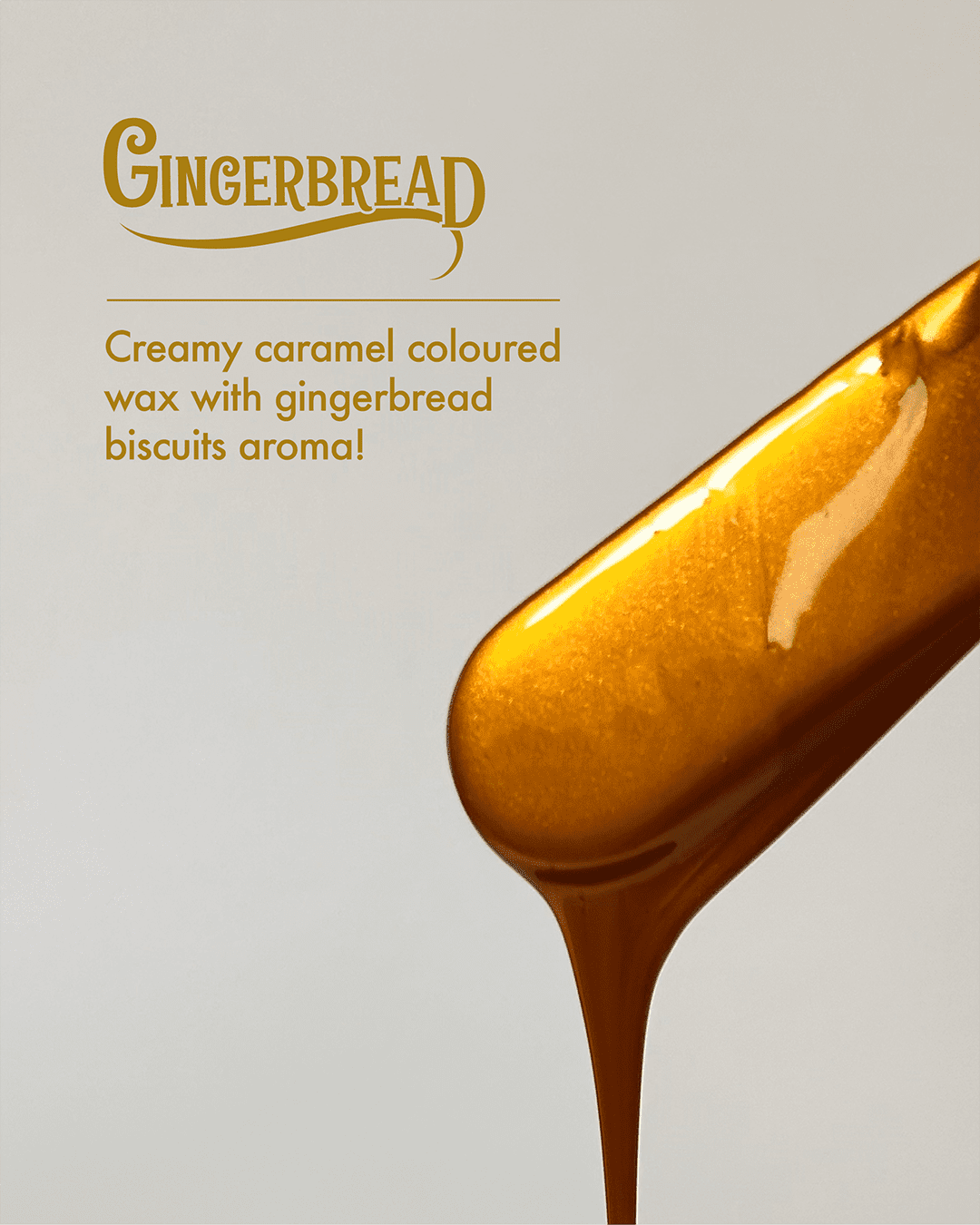 Italwax Winter Collection – Gingerbread Film Wax (Limited Edition) - Image 3